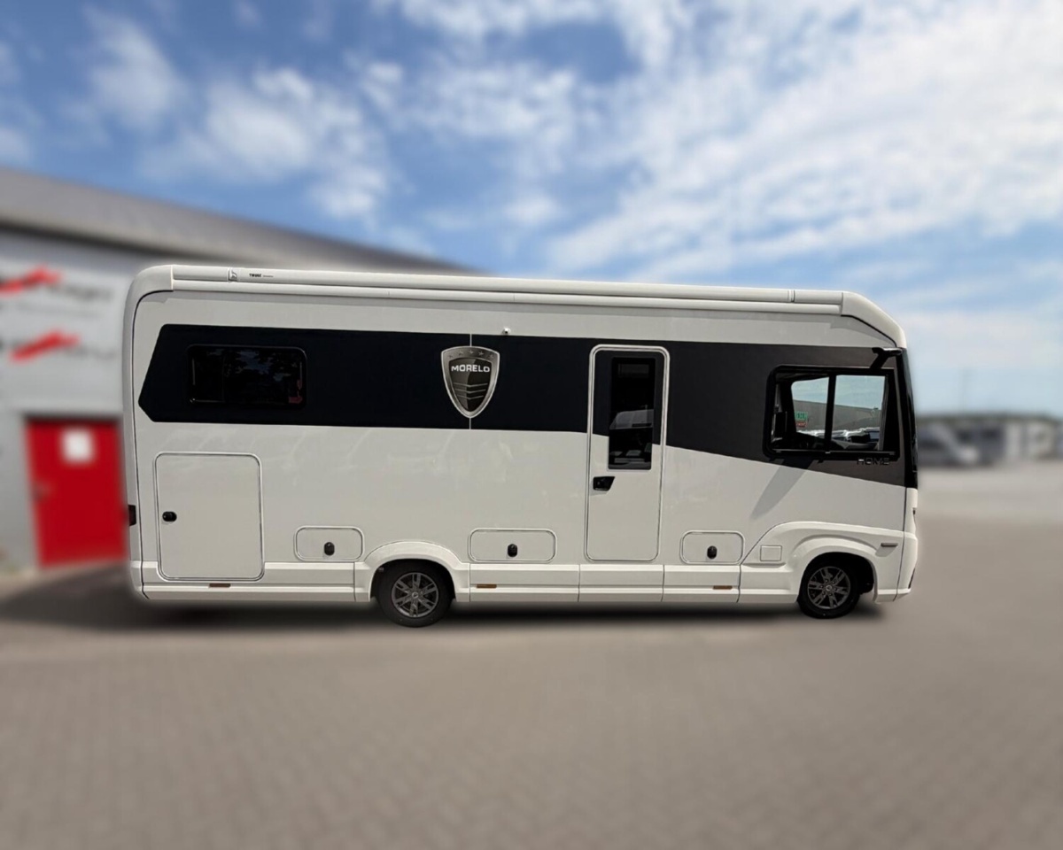 Morelo Bild 7