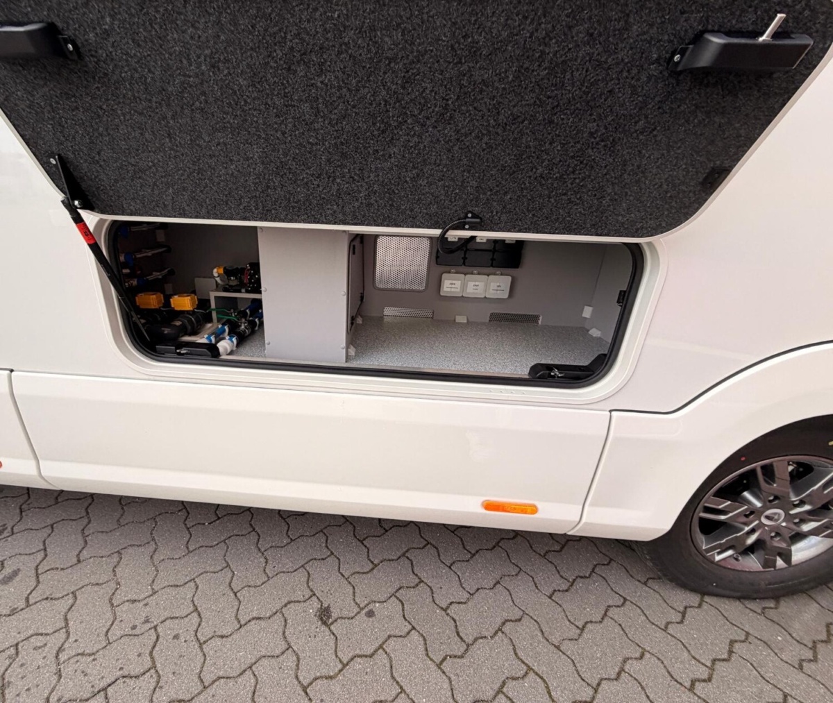Morelo Bild 23