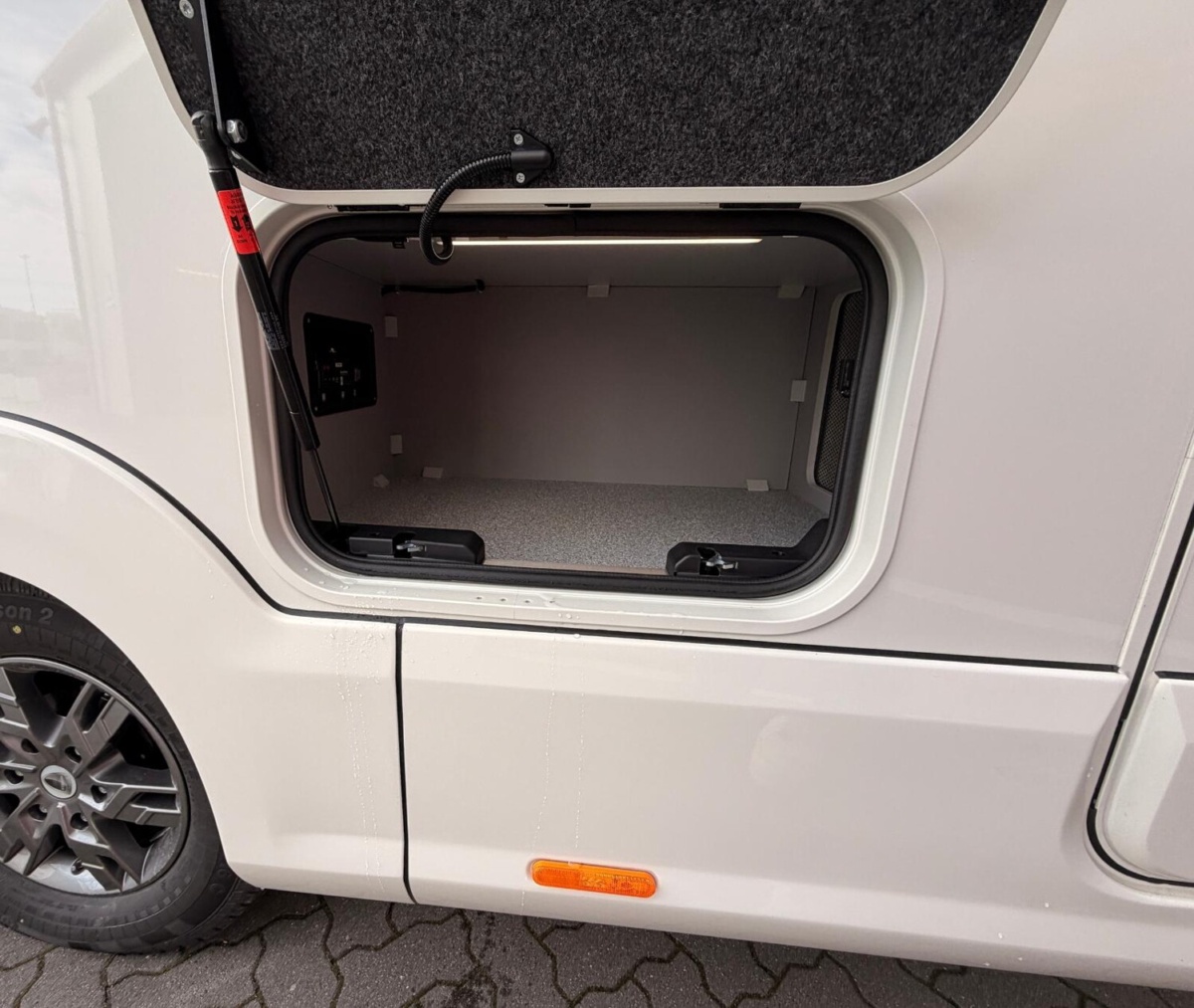 Morelo Bild 26
