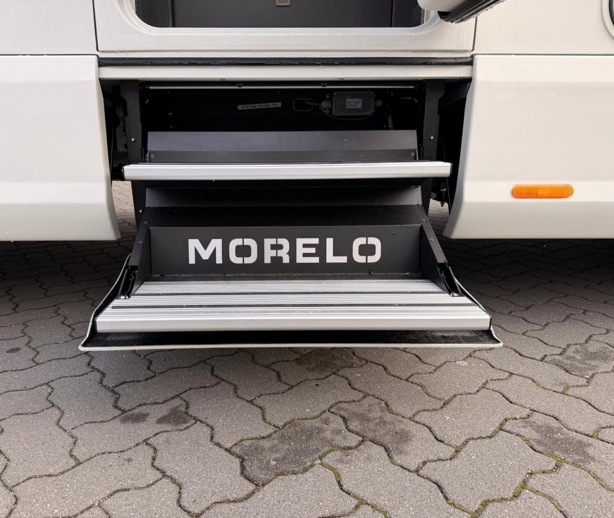 Morelo Bild 27